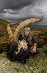 An Ibex Hunting picture of a hunter kneeling beside an ibex he downed