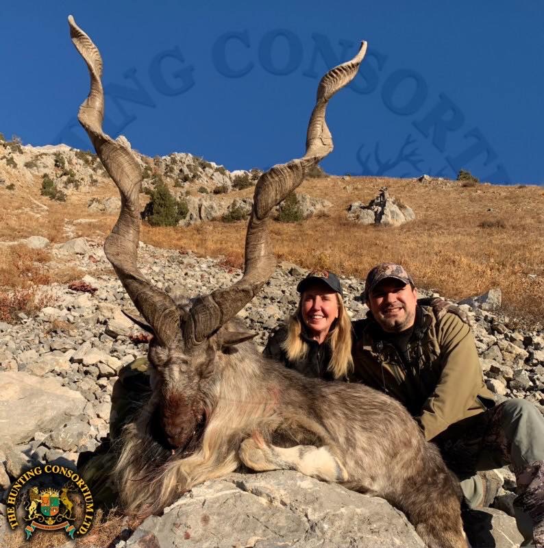 The best Bukharan Markhor Hunting in the world is in Tajikistan.