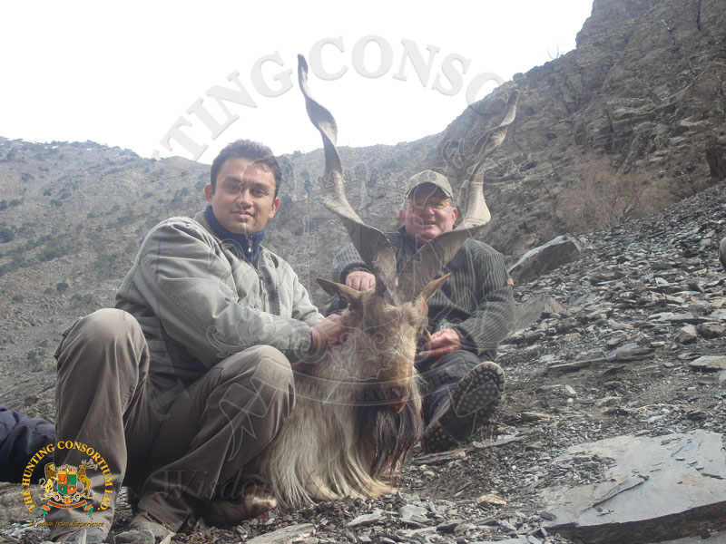 Markhor Hunting picture as two hunters pose next to a markhor they recently downed.
