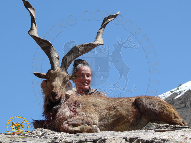 Hunting Markhor 8