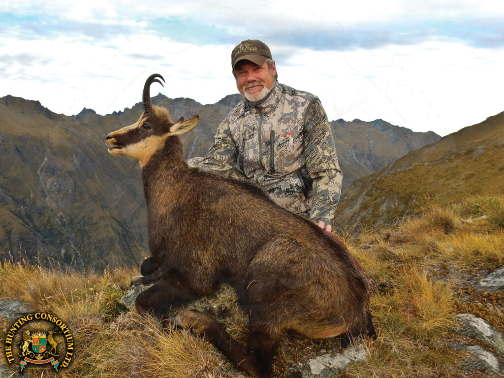 Photo of Chamois Hunting in New Zealand.