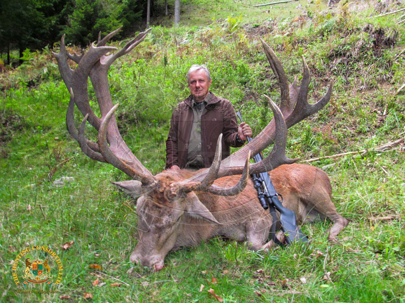 Top 10 European Red Deer, European Red Stag Hunting in Austria