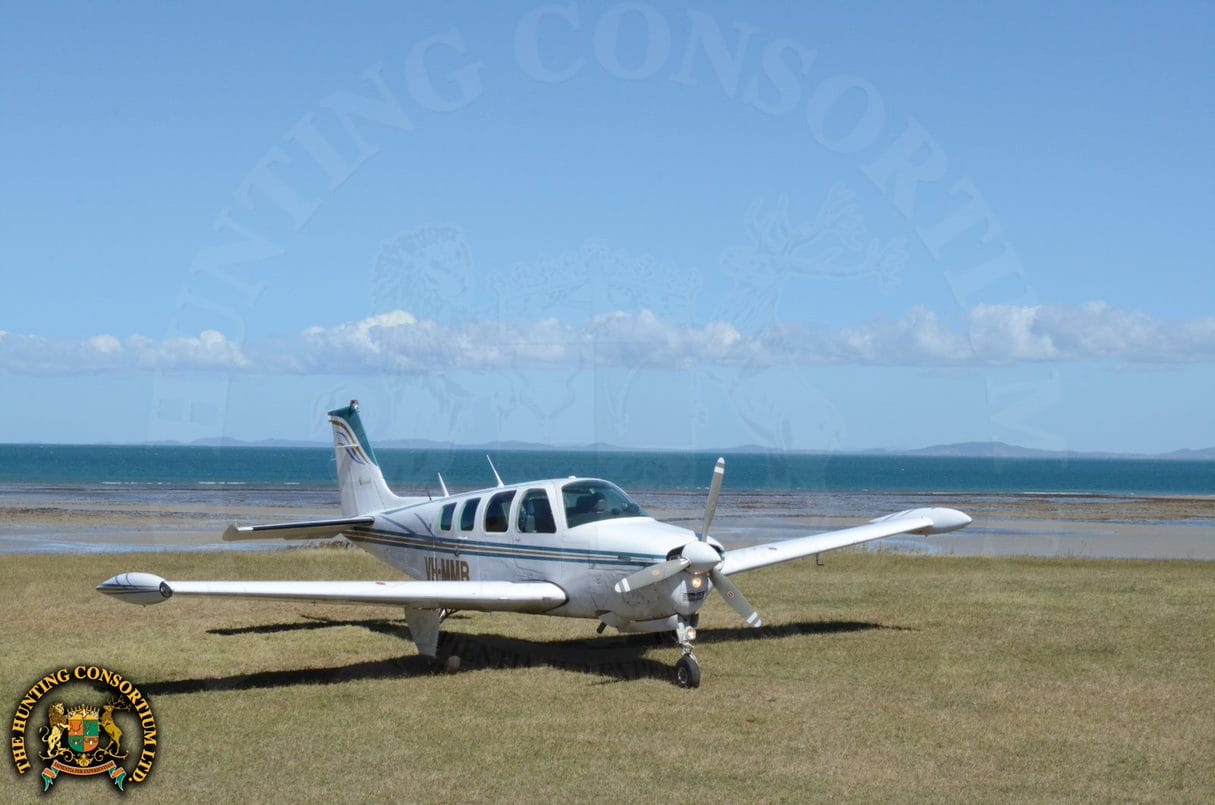 South Pacific Hunting Airplane