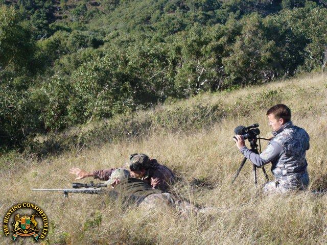 South Pacific Hunting Team Spotting