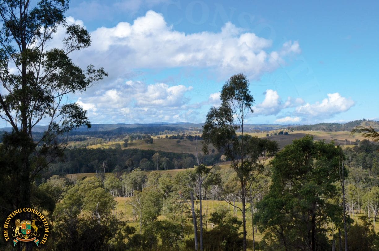 South Pacific Hunting in Australia