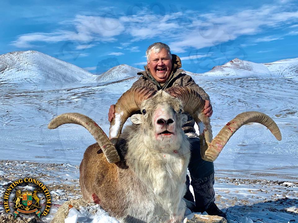Marco Polo sheep hunting trophies from Hunting in Tajikistan.