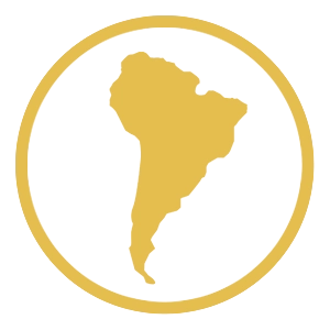 South America Icon