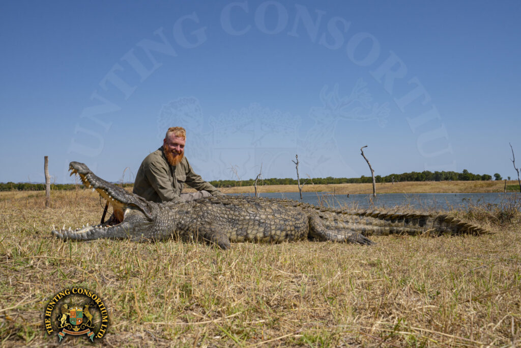 Crocodile hunting Crocodile hunts in Africa Hunting Crocs in Zimbabwe Hunting Crocodiles in Zimbabwe