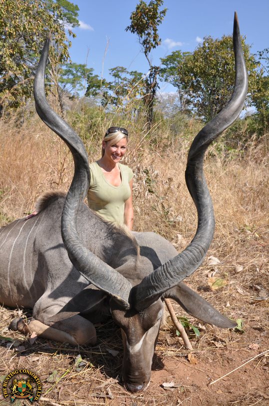 East African Greater Kudu Hunting Safari with Hunting Consortium and hunting in Tanzania