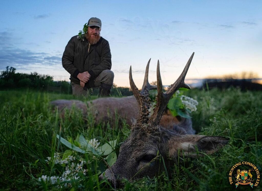 Roe Deer Hunting in Hungary