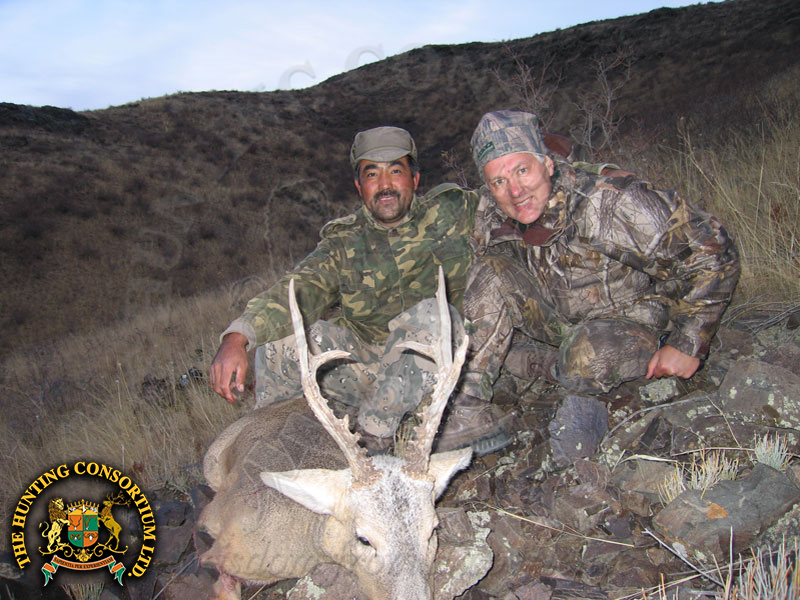 Siberian Roe Deer Hunting Siberian Roe Deer Hunts