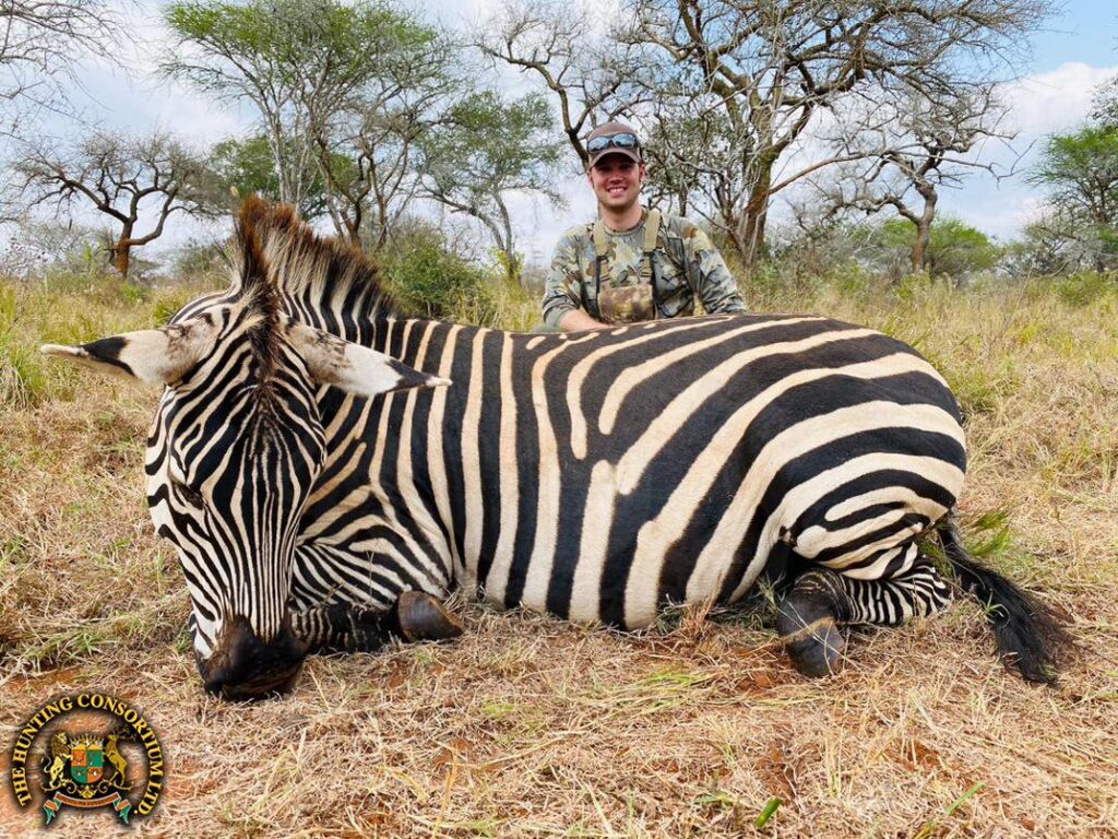 Our client with his Zebra from Africa. Zebra hunting in Africa. Zebra hunts in Africa.