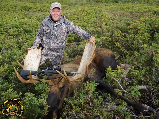 Eastern Canada Moose Hunting. Eastern Canada Moose Hunts. Canadian Moose Hunts