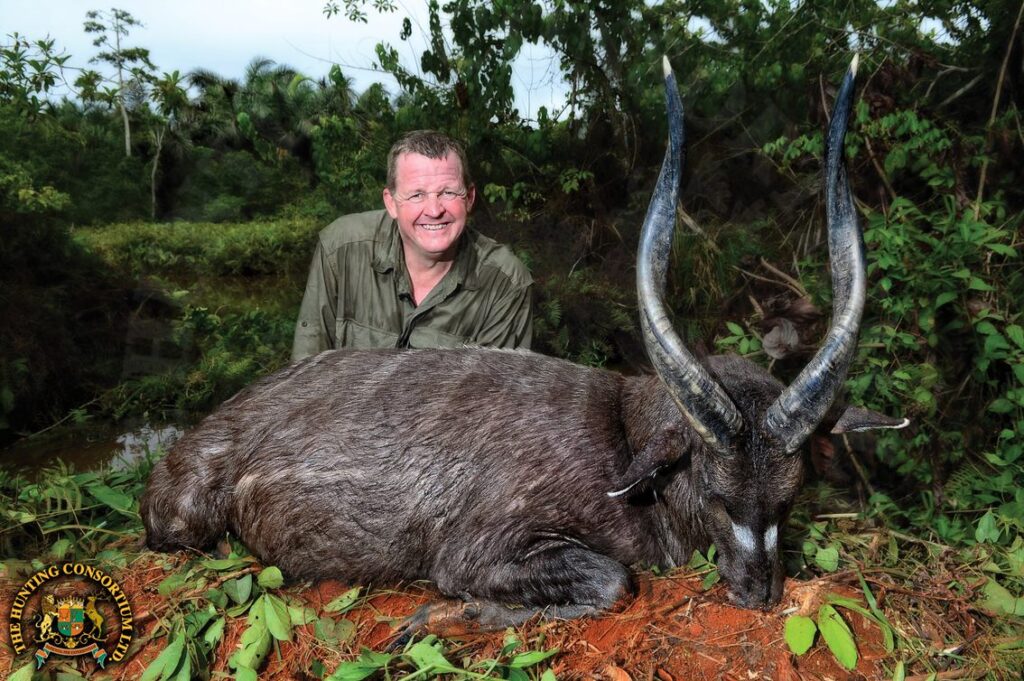 Forest Sitatunga Hunting in Cameroon. Sitatunga Hunts in Cameroon.