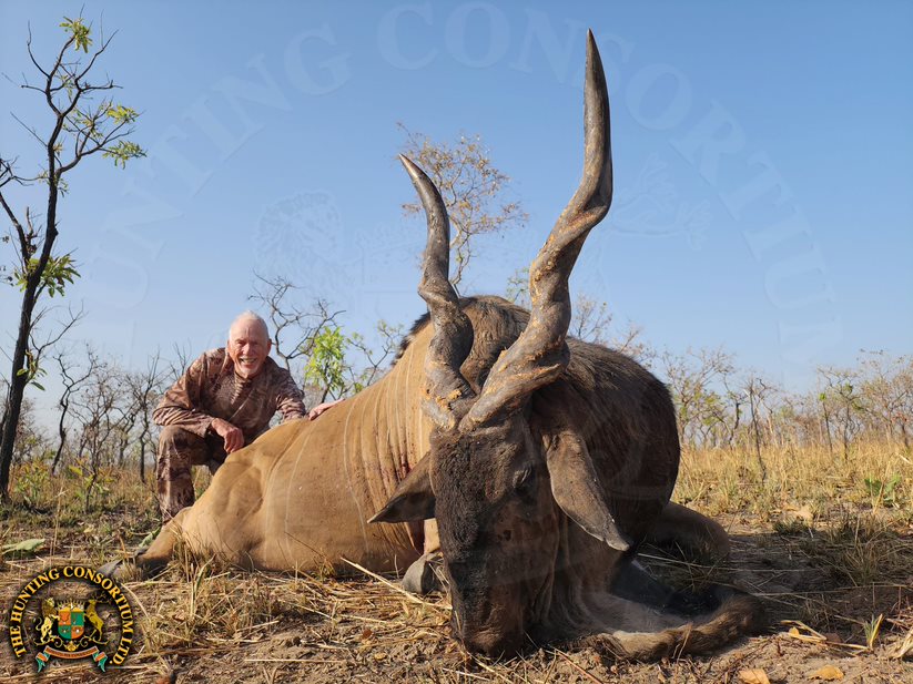 Giant Eland Hunting in Cameroon Hunting Lord Derby Eland Hunting Giant Eland Hunts Lord Derby Hunts in Cameroon
