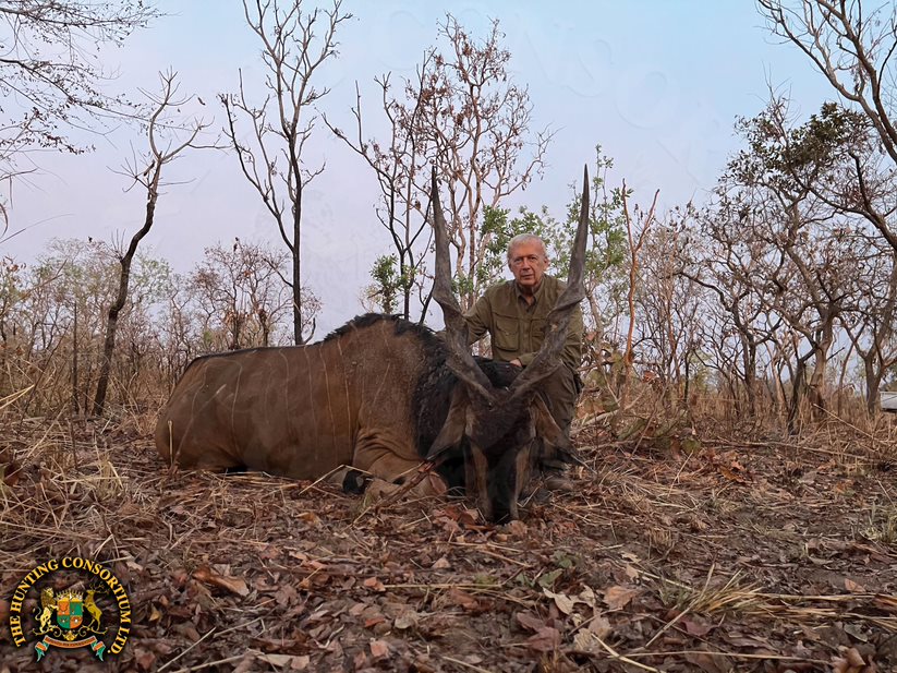 Giant Eland Hunting in Cameroon Hunting Lord Derby Eland Hunting Giant Eland Hunts Lord Derby Hunts in Cameroon