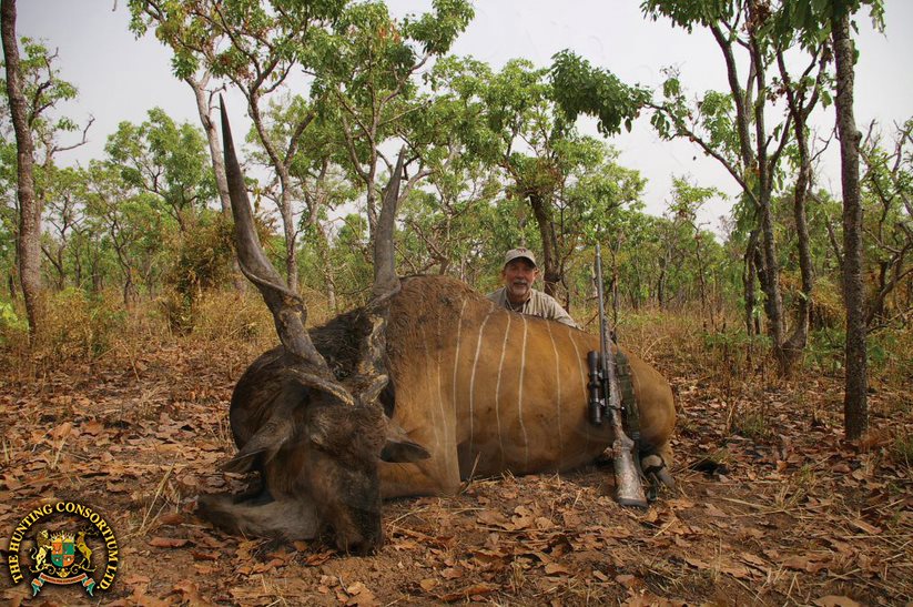 Jim Miller Giant Eland Hunting in Cameroon Hunting Lord Derby Eland Hunting Giant Eland Hunts Lord Derby Hunts in Cameroon