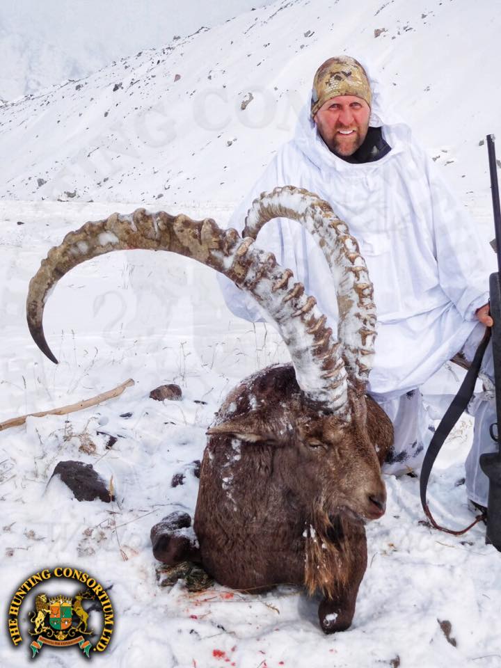 Mid Asian Bukharan Ibex Hunting in Tajikistan. Mid-Asian Ibex Hunting in Tajikistan. Hunting Bukharan Ibex in Tajikistan.