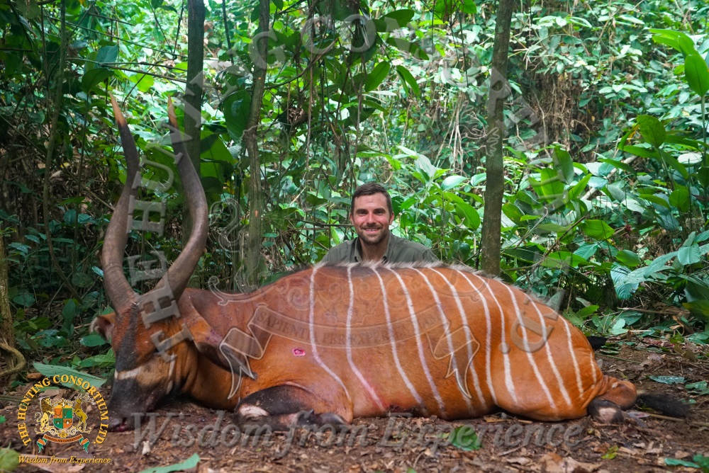 Rob Kern, President of IPHA with his Bongo Hunting in Cameroon Hunting Bongo Hunts in Cameroon 7