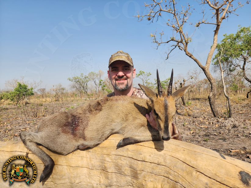 Western Bush Duiker Hunting in Cameroon
