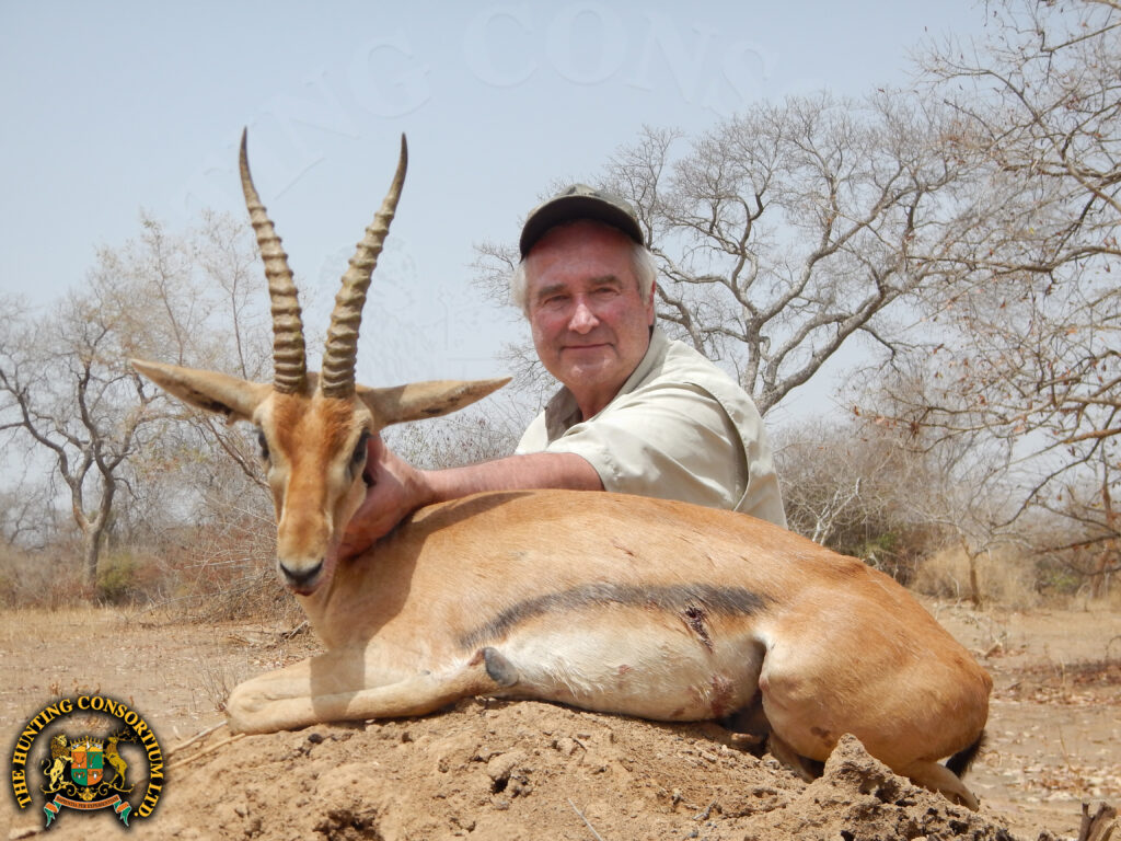 Red-fronted Gazelle Hunting in Chad. Also known as Korin Hunting in Chad and Rufifron Gazelle Hunting in Chad