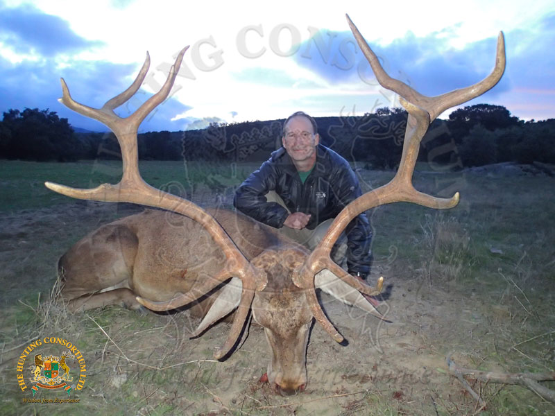 Hunting Iberian Red Stag Hunting in Spain