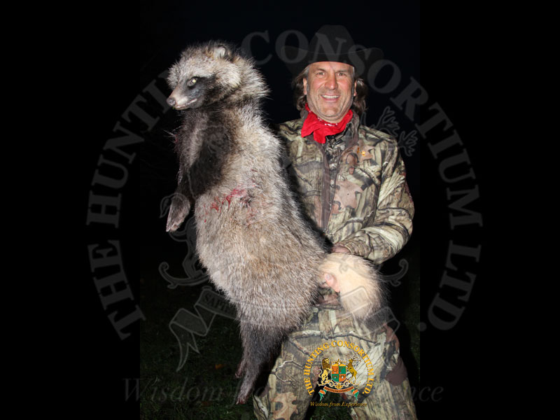 Jim Shockey Raccoon Dog Hunting in Sweden