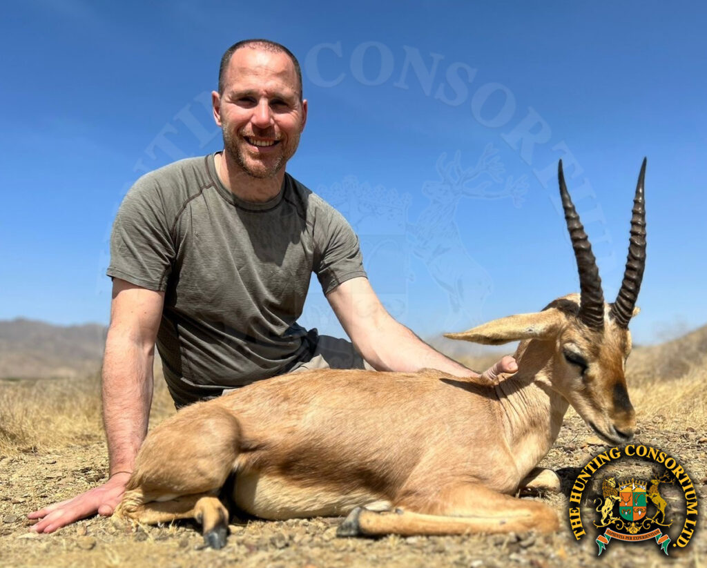 Hunting in Pakistan hunting Chinkara Gazelle in Pakistan
