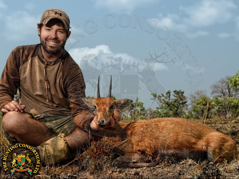 Oribi hunting in Zambia