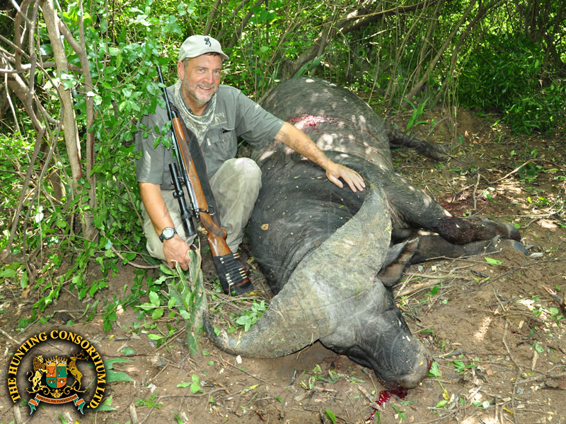 Hunting Nile Buffalo in Uganda. Hunting in Uganda