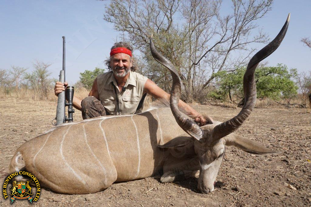 Western Kudu Hunting in Chad. Western Kudu The most difficult of all the spiral horn antelope to take. Jim Shockey Hunts in Chad with Hunting Consortium