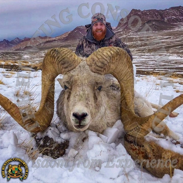 Grand Slam Club Ovies Marco Polo Sheep Hunting 1 1