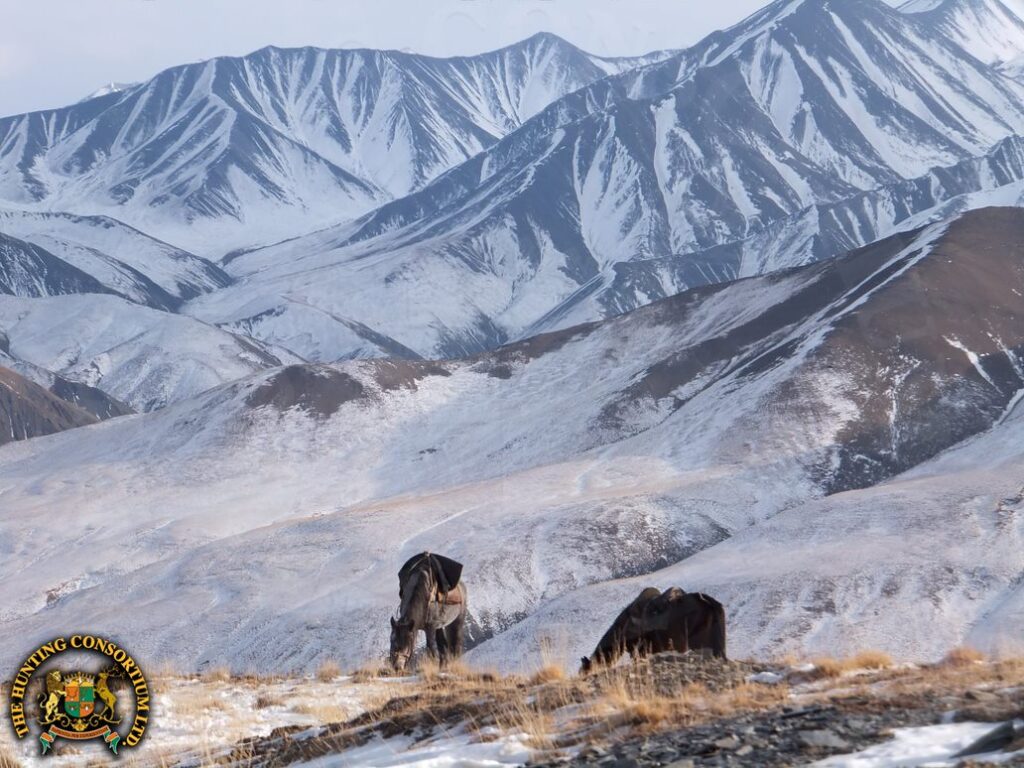 Stunning Landscape while on Asian Shikar Hunting in Asia with Hunting Consortium